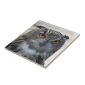 ユーラシアイーグルフクロウ写真 タイル (側面)