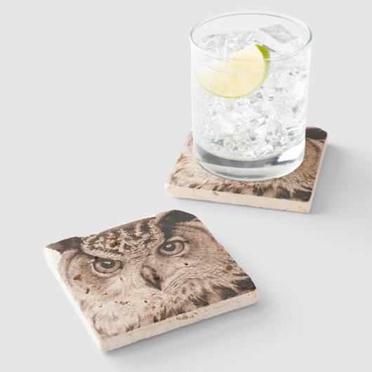 ユーラシアイーグル素晴らしフクロウのアートウォーターカラーコースター ストーンコースター (横)