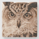 ユーラシアイーグル素晴らしフクロウのアートウォーターカラーコースター ストーンコースター (正面)