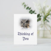 ユーラシアイーグル考えフクロウの葉書 ポストカード (スタンド正面)