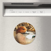 ユーラシアウィゲオンの町でハンサムな見知らぬ人 マグネット (インサイチュ (食洗機))