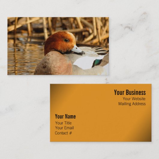 ユーラシアウィゲオンの町でハンサムな見知らぬ人 名刺 (正面/裏面)