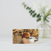 ユーラシアウィゲオンの町でハンサムな見知らぬ人 名刺 (スタンド正面)