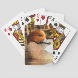 ユーラシアウィゲオンダックの町でハンサムな見知らぬ人 トランプ