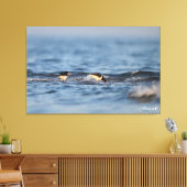 ユーラシアオイスターキャッチャー キャンバスプリント (インサイチュ (リビング))