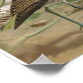 ユーラシアカレーウヴィンテージバードイラストレーション ポスター (角)