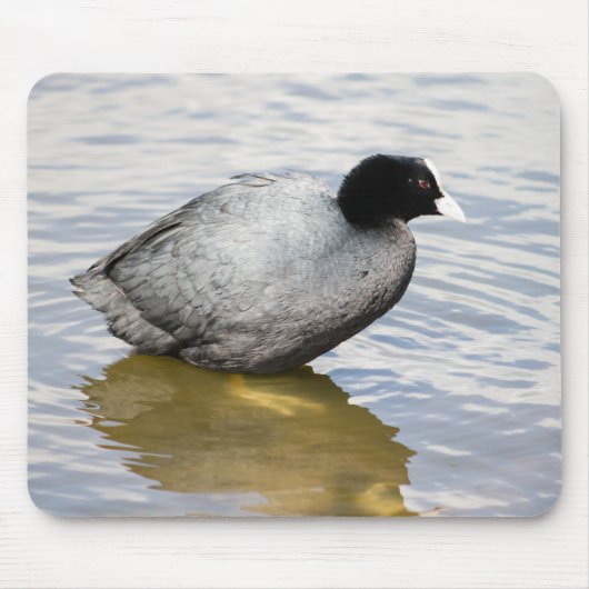 ユーラシアコット マウスパッド (正面)