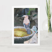 ユーラシアジェイポートレート カード (正面)