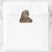 ユーラシアスコップフクロウ – Otus scops （2ヶ月） スクエアシール (バッグ)