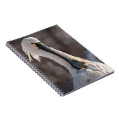 ユーラシアスプーンビル ノートブック (右側)