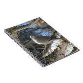 ユーラシアハトのカエデ ノートブック (右側)