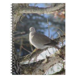 ユーラシアハトのカエデ ノートブック