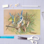 ユーラシアブルーティットと長い尾のティット、デクページ 薄葉紙 (クラフト)