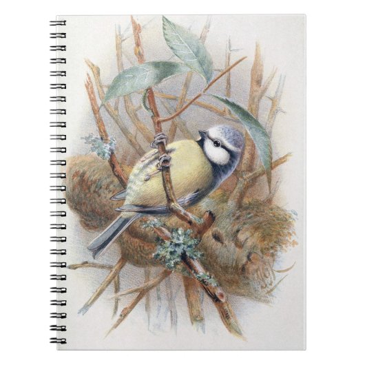 ユーラシアブルーバードノート ノートブック (正面)