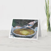 ユーラシアヤクドリが鳥の水浴びに座っている カード (正面)