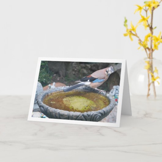 ユーラシアヤクドリが鳥の風呂に座っている カード (黄色い花)