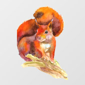 ユーラシア産のアカリス ウィンドウサイン (シート)