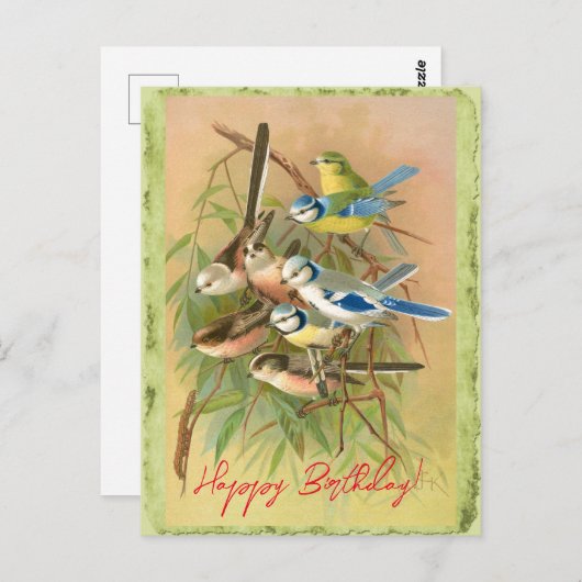 ユーラシア産の青い尾と長い尾の付いた尾 ポストカード (正面/裏面)