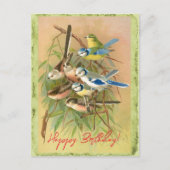 ユーラシア産の青い尾と長い尾の付いた尾 ポストカード (正面)