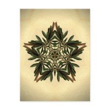 ユール（キリスト降誕祭）星