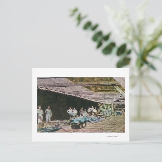 ユーレカ石板採石場 ポストカード (スタンド正面)