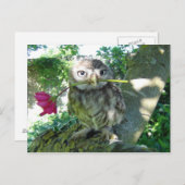 ユーレミットバラ ポストカード (正面/裏面)