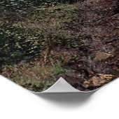 ユーロスター旅客列車 ポスター (角)