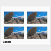 ユーロック 長方形シール (シート)