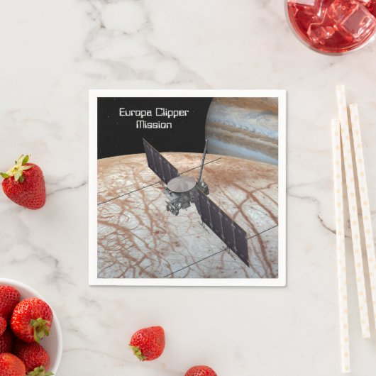 ユーロパクリッパー探査機 スタンダードカクテルナプキン (インサイチュ)