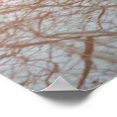 ユーロパクリッパー探査機 ポスター (角)