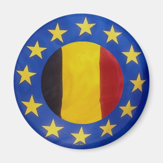 ユーロ2008 – ベルギー – 磁石 (正面)