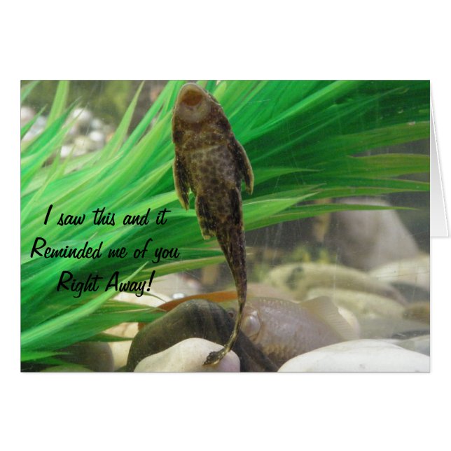 ユー吸カード (正面横)