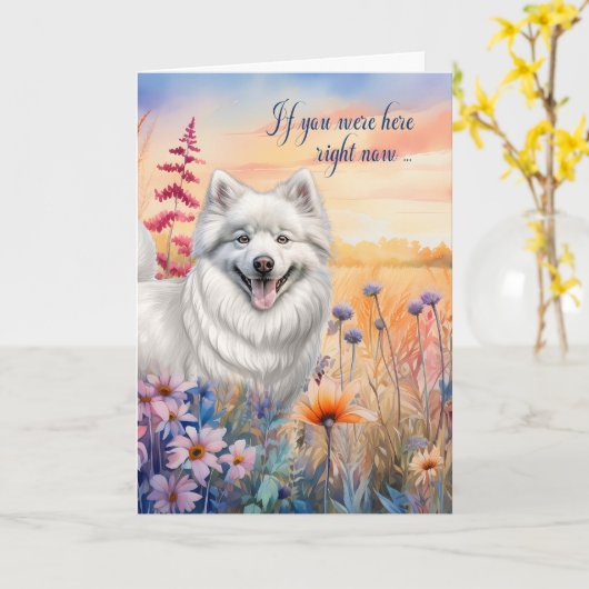 ユー恋しく思アメリカのエスキモー犬の野花草原 カード (黄色い花)