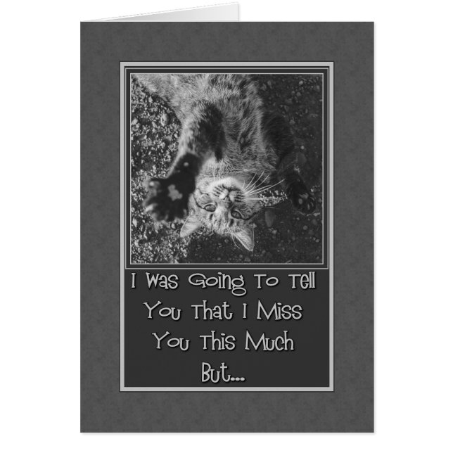 ユー恋しく思スストレッチ子猫 (正面)