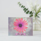 ユー恋しく思デイジーかわいらし花びら ポストカード (スタンド正面)