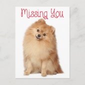 ユー恋しく思ポメラニア犬子犬あいさつ葉書 ポストカード (正面)