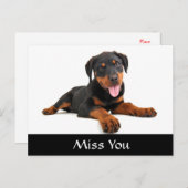 ユー恋しく思ロットワイラー子犬あいさつ葉書 ポストカード (正面/裏面)