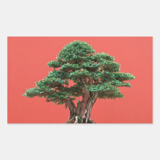 ユー盆栽 長方形シール (正面)