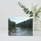 ヨウギョヘニーリバーポストカード ポストカード (スタンド正面)