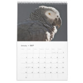 ヨウムのカレンダー カレンダー (1月 2027)