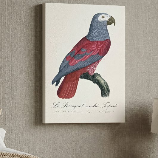 ヨウム 赤変種 Psittacus Erithacus キャンバスプリント
