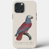 ヨウム 赤変種 Psittacus Erithacus Case-Mate iPhoneケース (裏面)