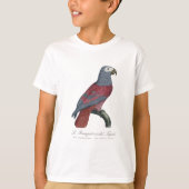 ヨウム 赤変種 Psittacus Erithacus Tシャツ (正面)