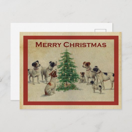 ヨエウノエルチエンス ポストカード (正面/裏面)