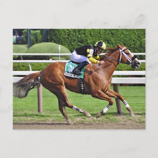 ヨエルロザリオ乗船パシフィック海 ポストカード (正面)