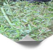 ヨガおもしろいゴリラのポスター(16x20)オムツ….. ポスター (角)