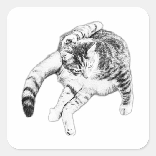 ヨガでも猫にする スクエアシール (正面)