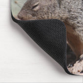 ヨガのリスのマウスパッド マウスパッド (コーナー)