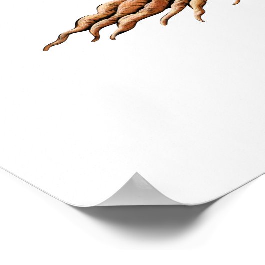 ヨガの木 ポスター (角)