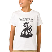 ヨガをめい想している猿